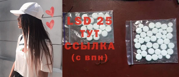ПСИЛОЦИБИНОВЫЕ ГРИБЫ Богданович