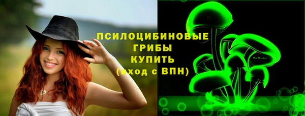 MDMA Богородицк