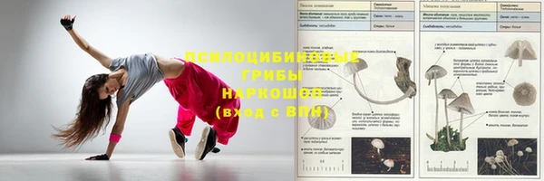 ПСИЛОЦИБИНОВЫЕ ГРИБЫ Богданович