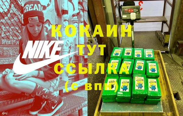 ПСИЛОЦИБИНОВЫЕ ГРИБЫ Богданович
