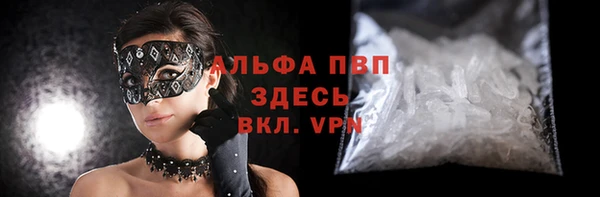 ПСИЛОЦИБИНОВЫЕ ГРИБЫ Богданович