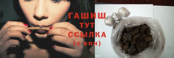 ПСИЛОЦИБИНОВЫЕ ГРИБЫ Богданович
