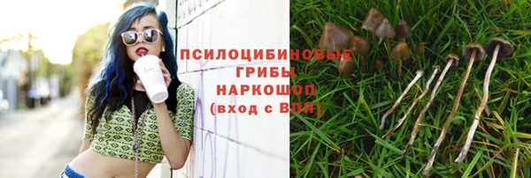 MDMA Богородицк