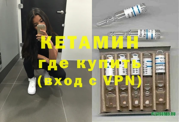 ПСИЛОЦИБИНОВЫЕ ГРИБЫ Богданович