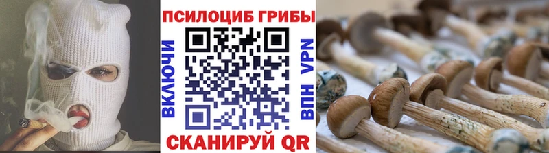 Галлюциногенные грибы Cubensis Красноармейск